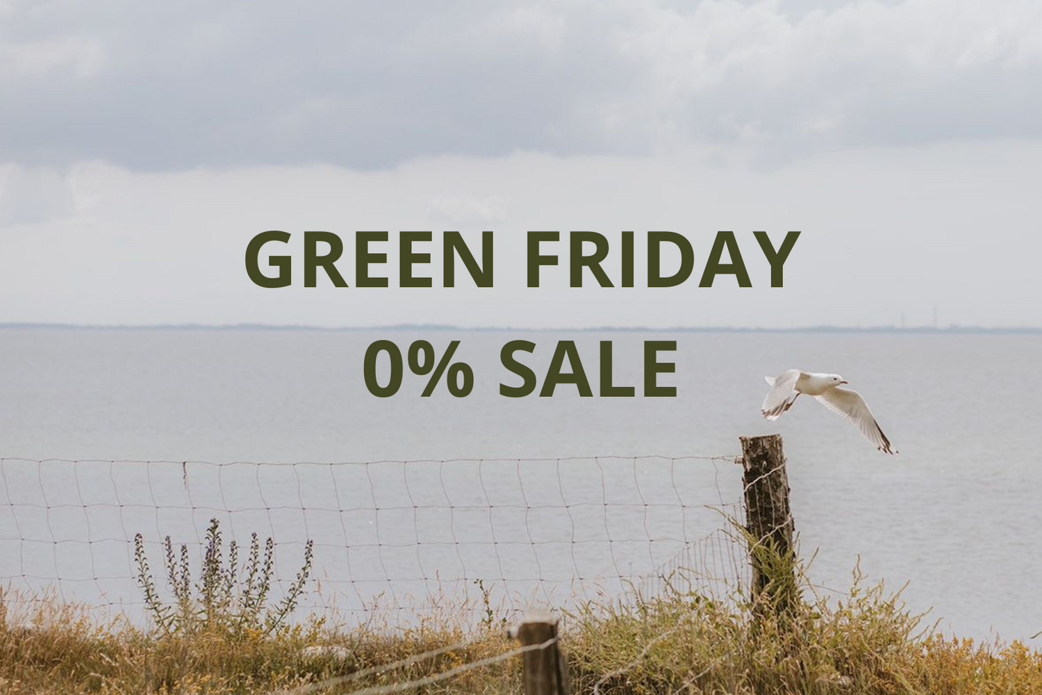 BLACK FRIDAY - HOW TO