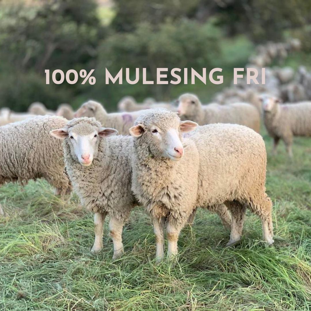 Mulesing - hvad er det?