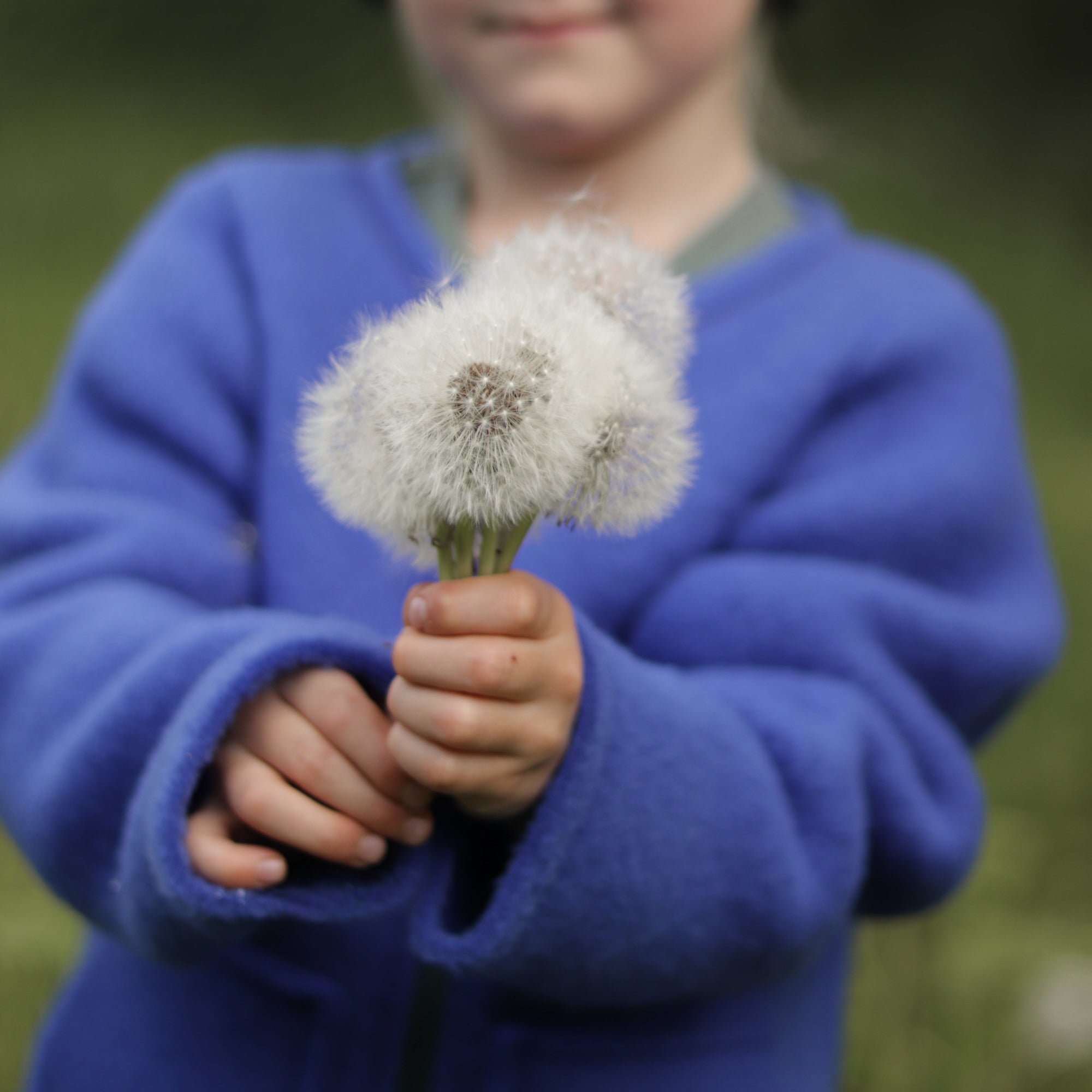 Jakke Zipper i børstet uld - Ocean - 0 - 2 år