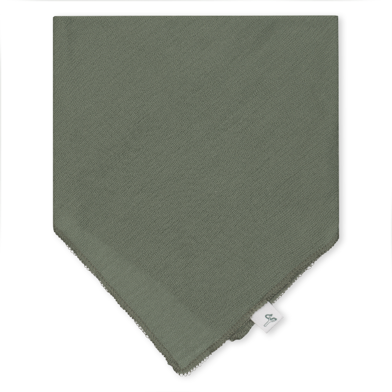 Bandana Bib –  Agave